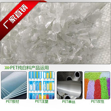 一群虎鲸6年撞船700多次！只是因为无聊好玩？