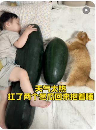 柔术alla 20