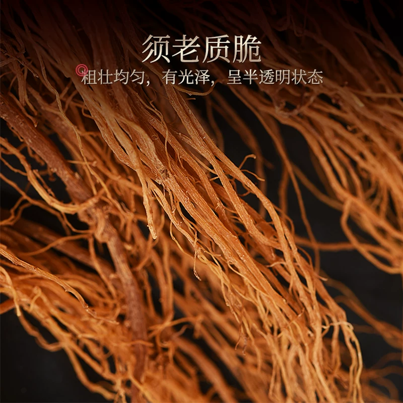 荣耀Magic9和vivo x500哪个更值得入手 拍视频如何挑