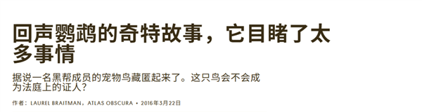 排球打法